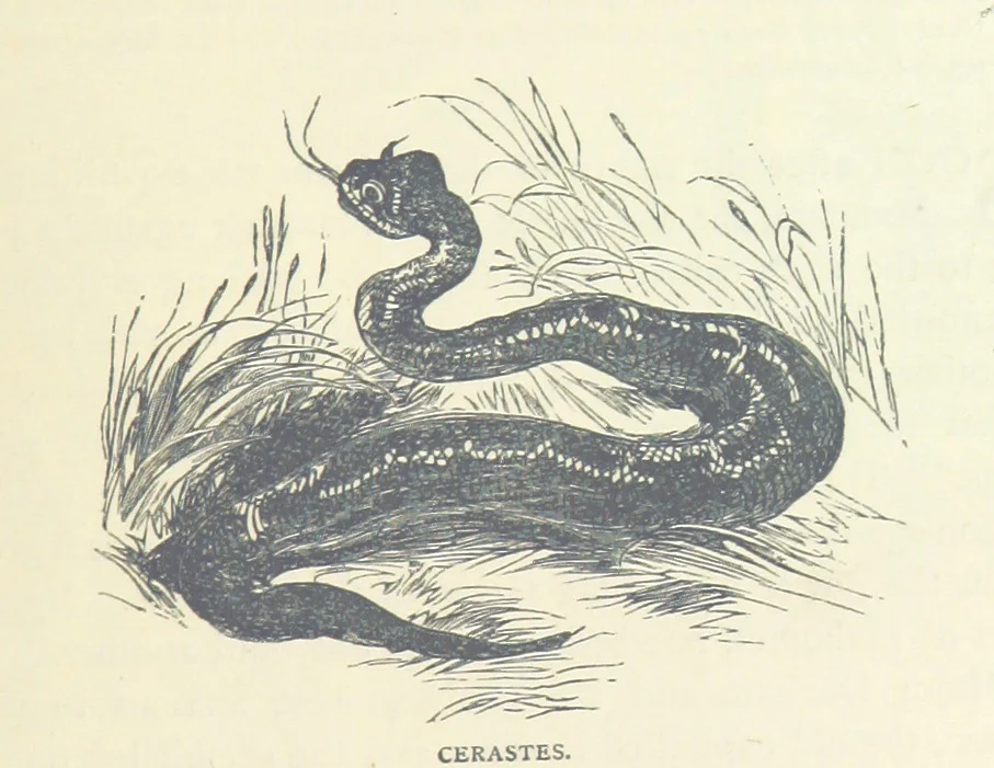 An illustration from Great African Travellers ... By W. H. G. K. and H. Frith, 1885, leaf 117