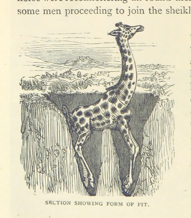An illustration from Great African Travellers ... By W. H. G. K. and H. Frith, 1885, leaf 120