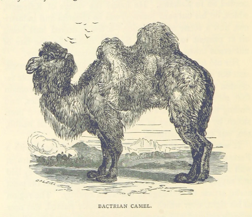 An illustration from Great African Travellers ... By W. H. G. K. and H. Frith, 1885, leaf 248