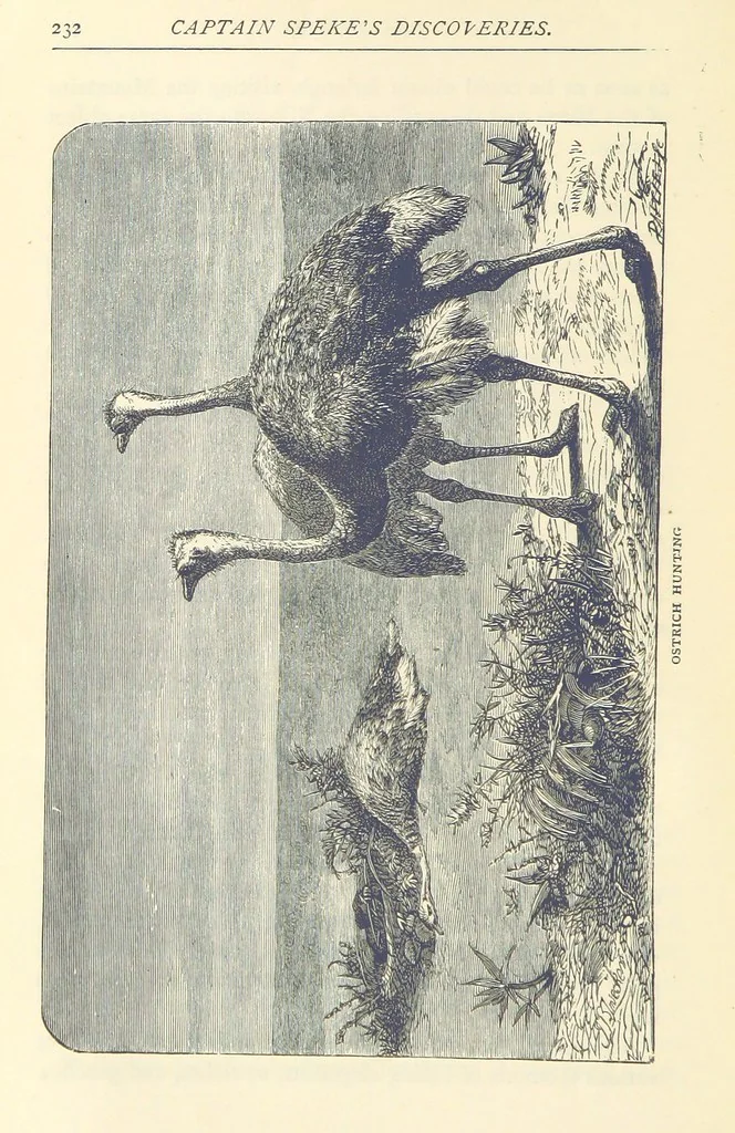 An illustration from Great African Travellers ... By W. H. G. K. and H. Frith, 1885, leaf 252