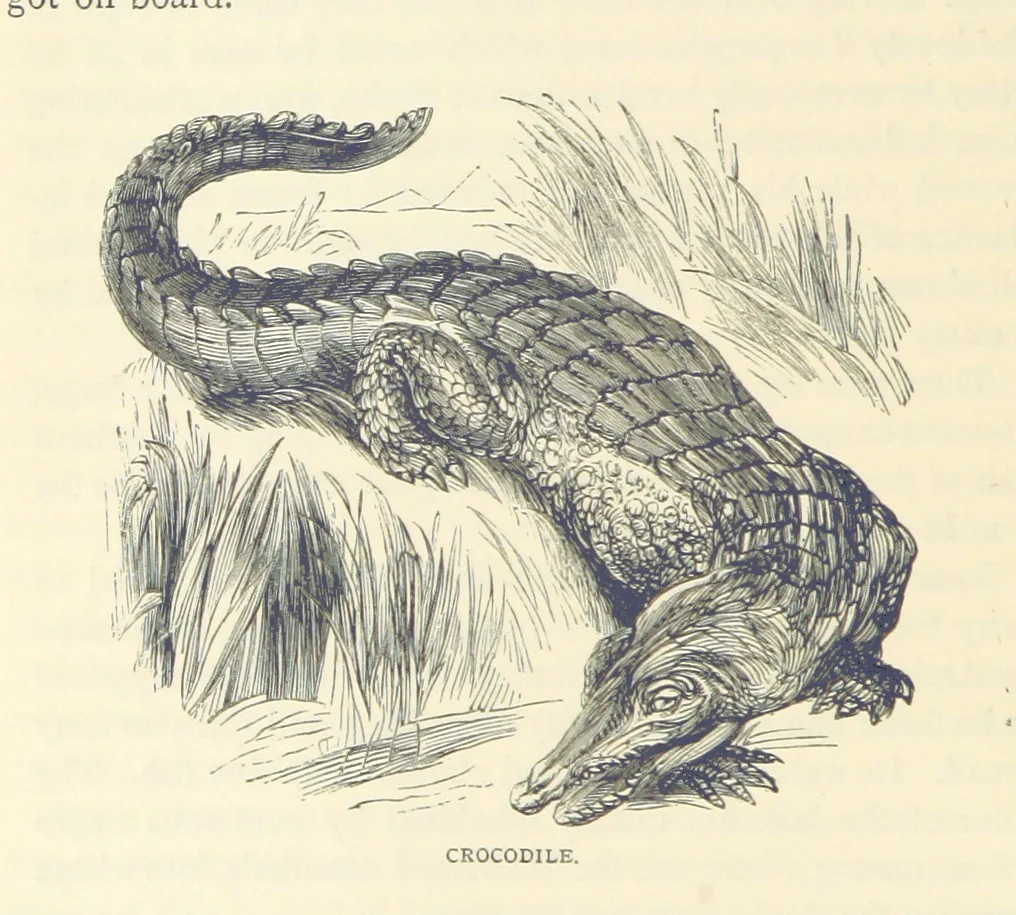 An illustration from Great African Travellers ... By W. H. G. K. and H. Frith, 1885, leaf 258