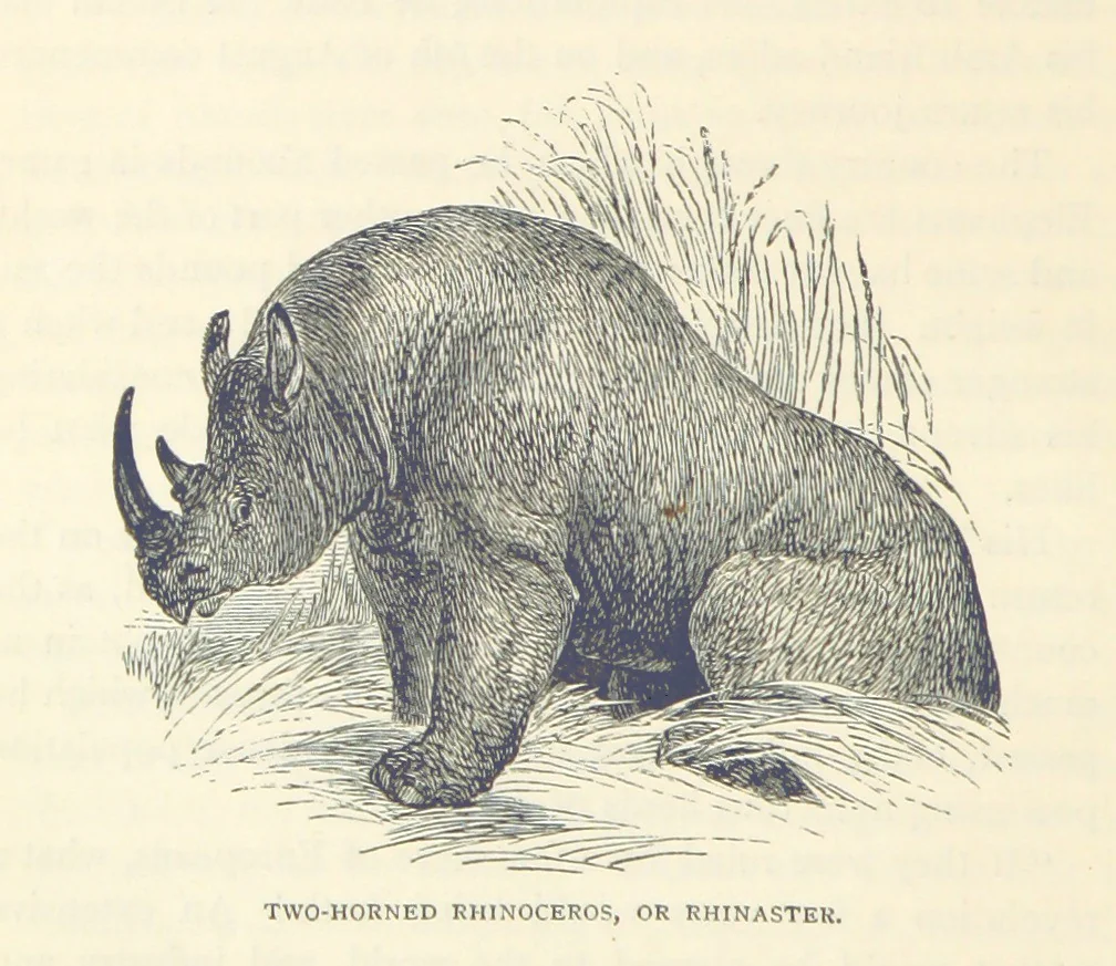 An illustration from Great African Travellers ... By W. H. G. K. and H. Frith, 1885, leaf 268