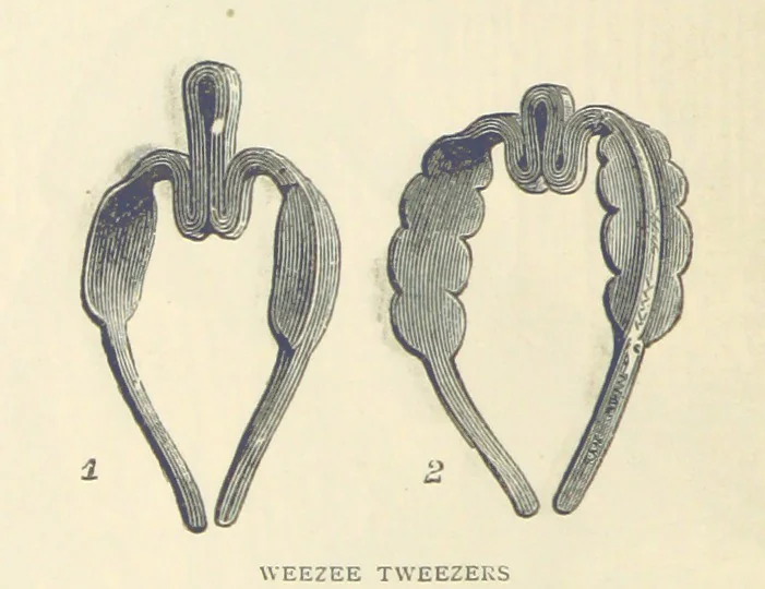An illustration from Great African Travellers ... By W. H. G. K. and H. Frith, 1885, leaf 280