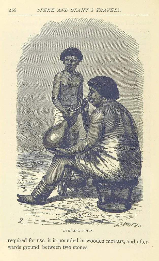 An illustration from Great African Travellers ... By W. H. G. K. and H. Frith, 1885, leaf 286