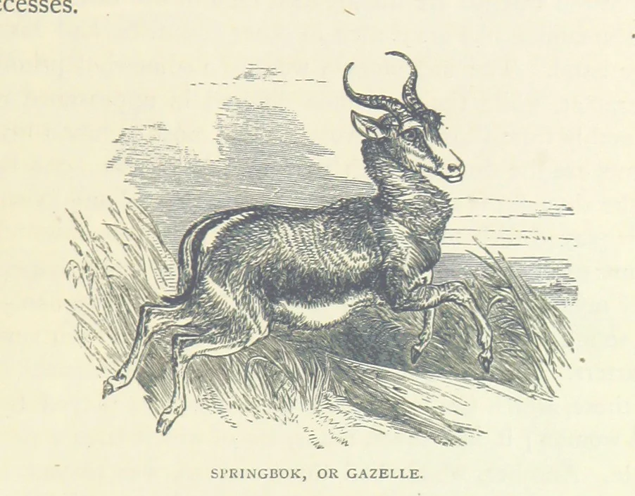 An illustration from Great African Travellers ... By W. H. G. K. and H. Frith, 1885, leaf 307