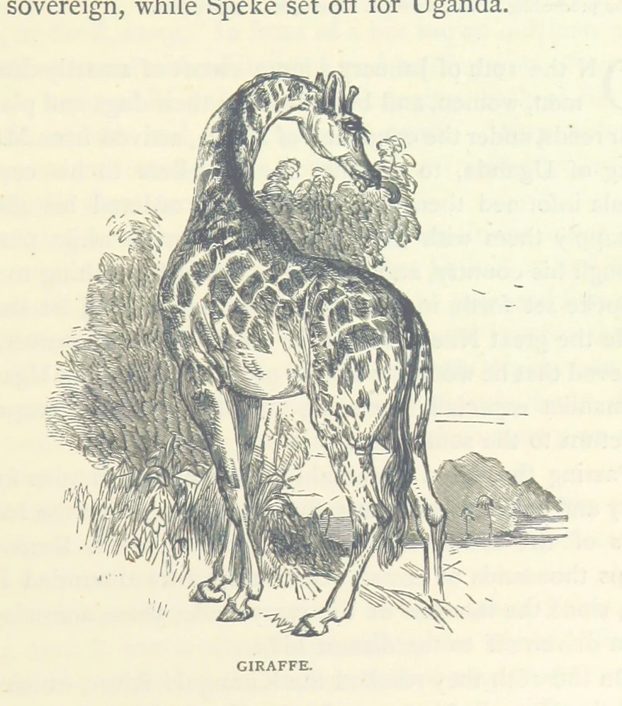An illustration from Great African Travellers ... By W. H. G. K. and H. Frith, 1885, leaf 311
