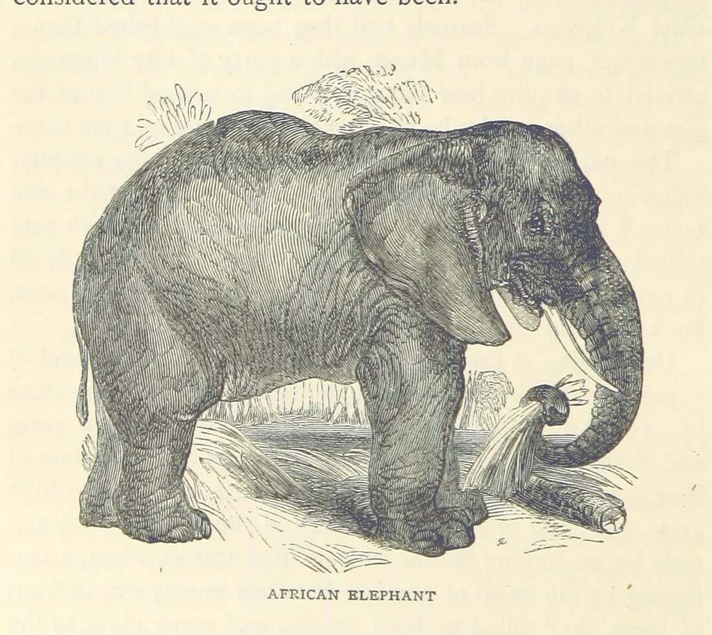 An illustration from Great African Travellers ... By W. H. G. K. and H. Frith, 1885, leaf 336