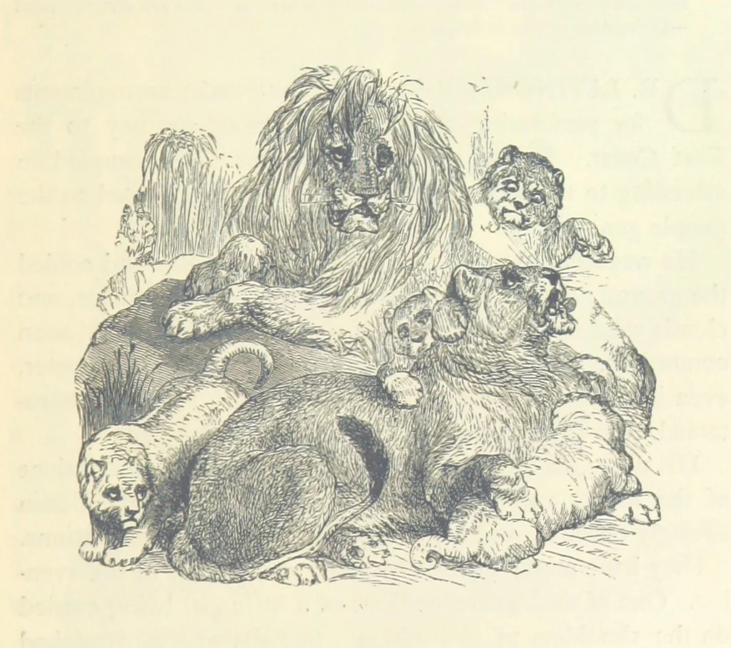 An illustration from Great African Travellers ... By W. H. G. K. and H. Frith, 1885, leaf 403