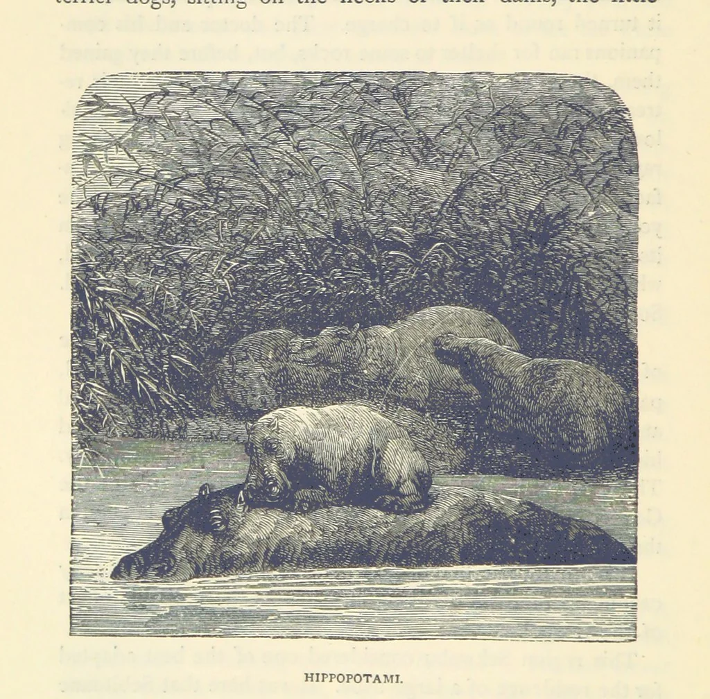 An illustration from Great African Travellers ... By W. H. G. K. and H. Frith, 1885, leaf 412
