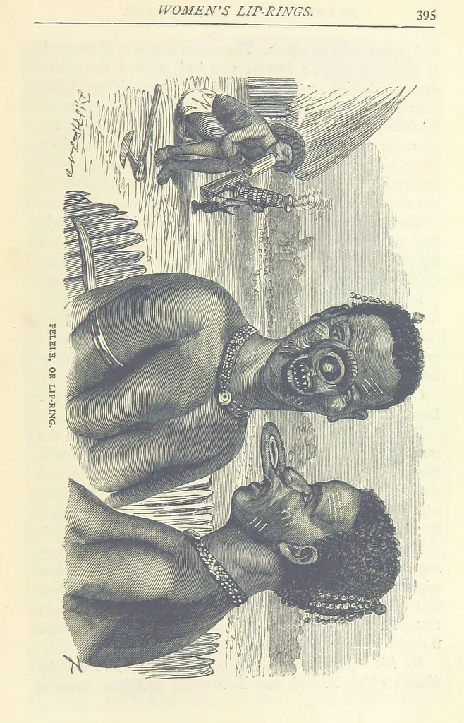 An illustration from Great African Travellers ... By W. H. G. K. and H. Frith, 1885, leaf 415