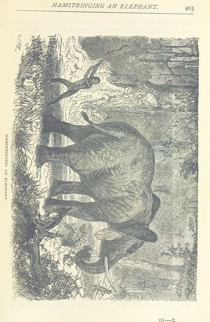 An illustration from Great African Travellers ... By W. H. G. K. and H. Frith, 1885, leaf 423