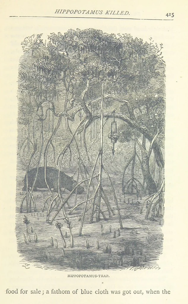 An illustration from Great African Travellers ... By W. H. G. K. and H. Frith, 1885, leaf 435