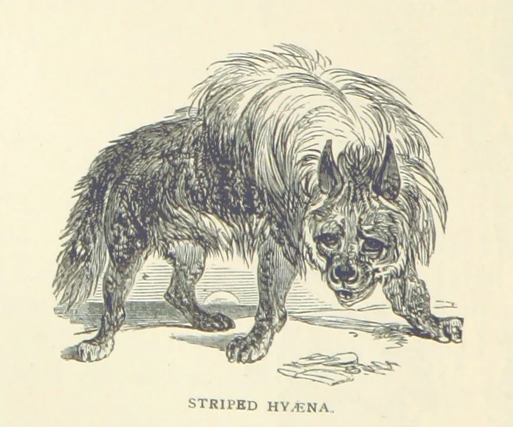An illustration from Great African Travellers ... By W. H. G. K. and H. Frith, 1885, leaf 518