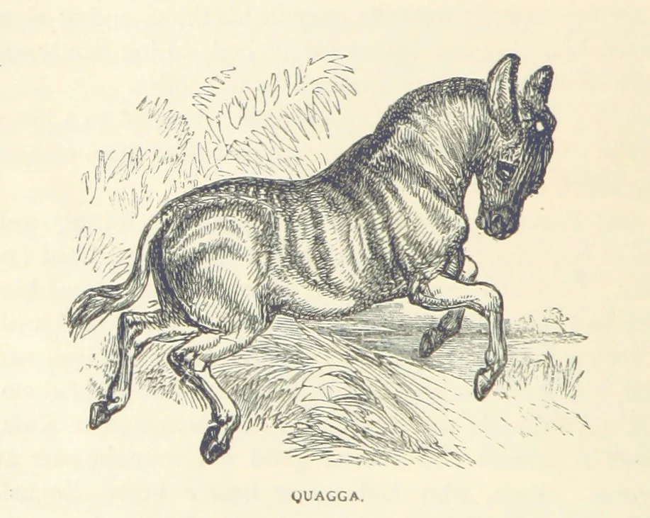 An illustration from Great African Travellers ... By W. H. G. K. and H. Frith, 1885, leaf 70