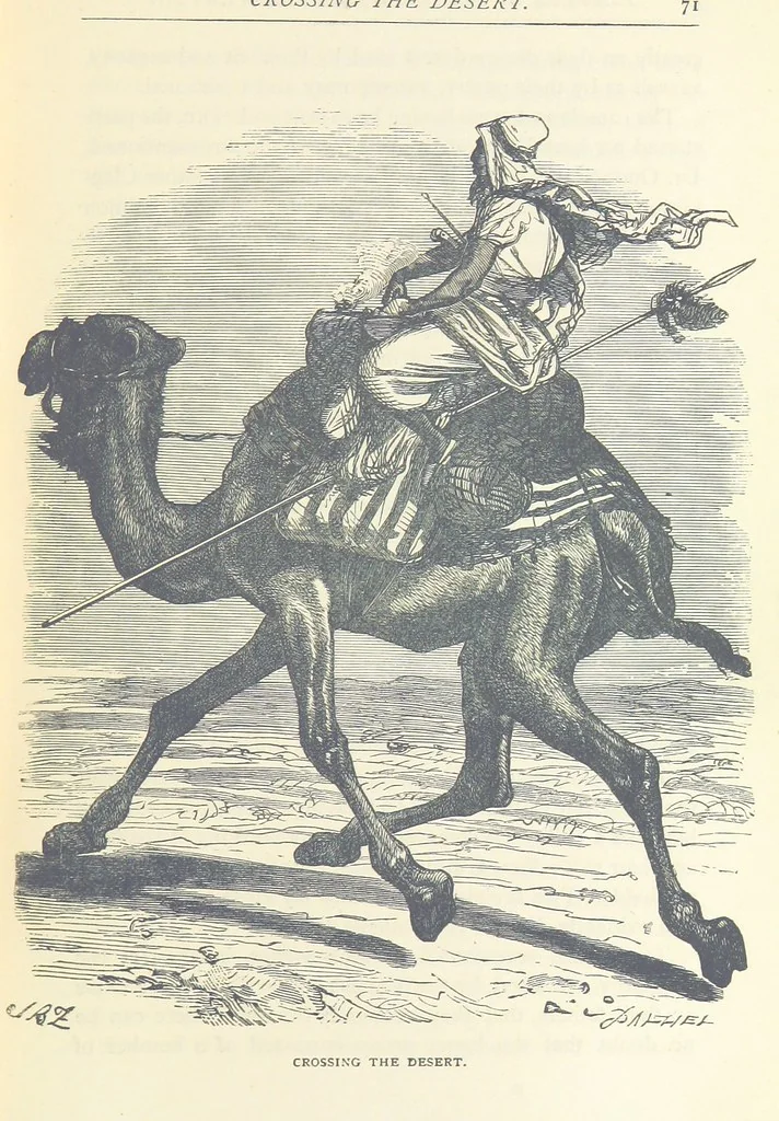 An illustration from Great African Travellers ... By W. H. G. K. and H. Frith, 1885, leaf 91