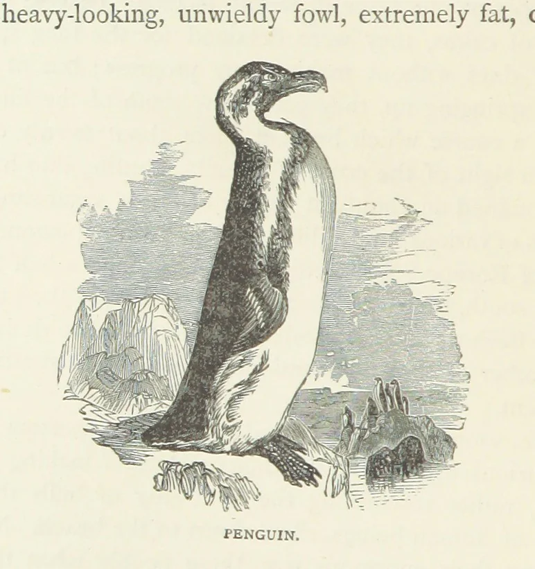 An illustration from Notable Voyagers from Columbus to Nordenskïold. By W. H. G. K. and H. Frith, 1885, leaf 228
