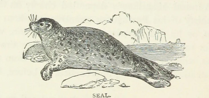 An illustration from Notable Voyagers from Columbus to Nordenskïold. By W. H. G. K. and H. Frith, 1885, leaf 228