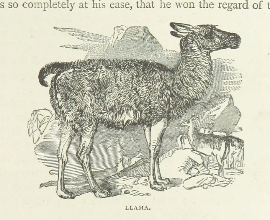 An illustration from Notable Voyagers from Columbus to Nordenskïold. By W. H. G. K. and H. Frith, 1885, leaf 233