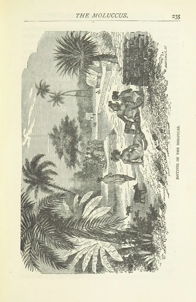 An illustration from Notable Voyagers from Columbus to Nordenskïold. By W. H. G. K. and H. Frith, 1885, leaf 261
