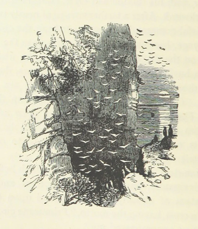 An illustration from Notable Voyagers from Columbus to Nordenskïold. By W. H. G. K. and H. Frith, 1885, leaf 264
