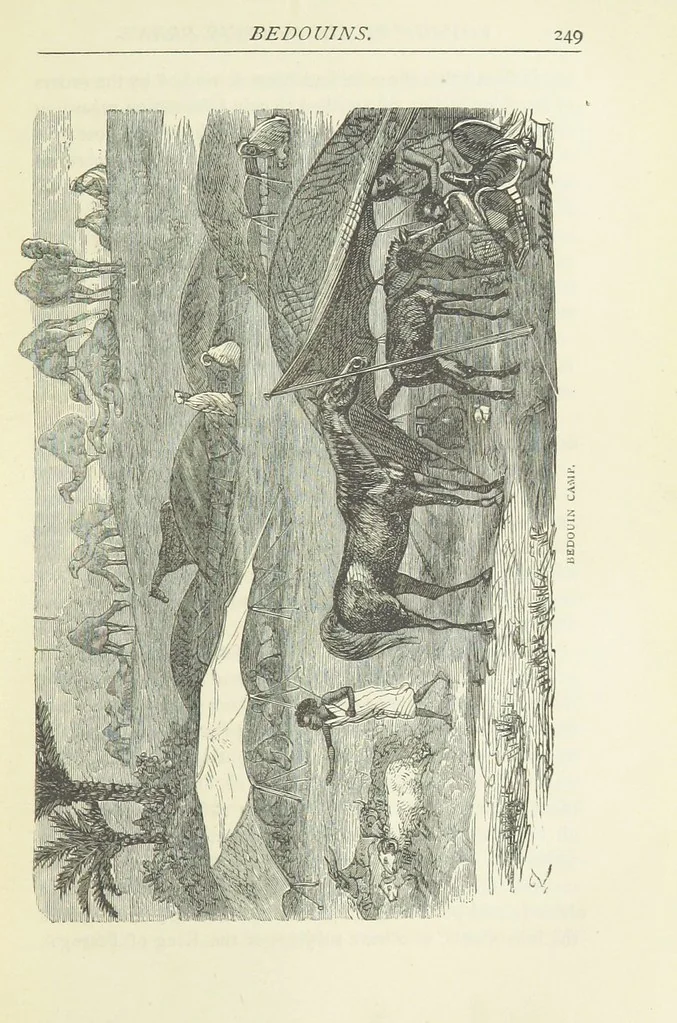 An illustration from Notable Voyagers from Columbus to Nordenskïold. By W. H. G. K. and H. Frith, 1885, leaf 275