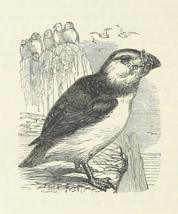 An illustration from Notable Voyagers from Columbus to Nordenskïold. By W. H. G. K. and H. Frith, 1885, leaf 364