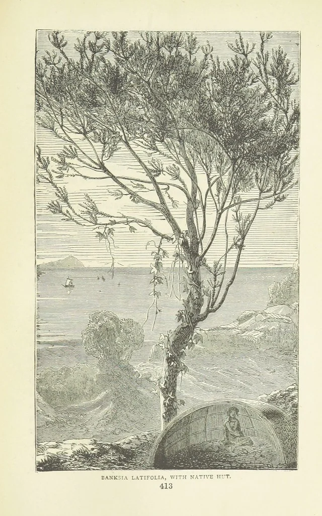 An illustration from Notable Voyagers from Columbus to Nordenskïold. By W. H. G. K. and H. Frith, 1885, leaf 441