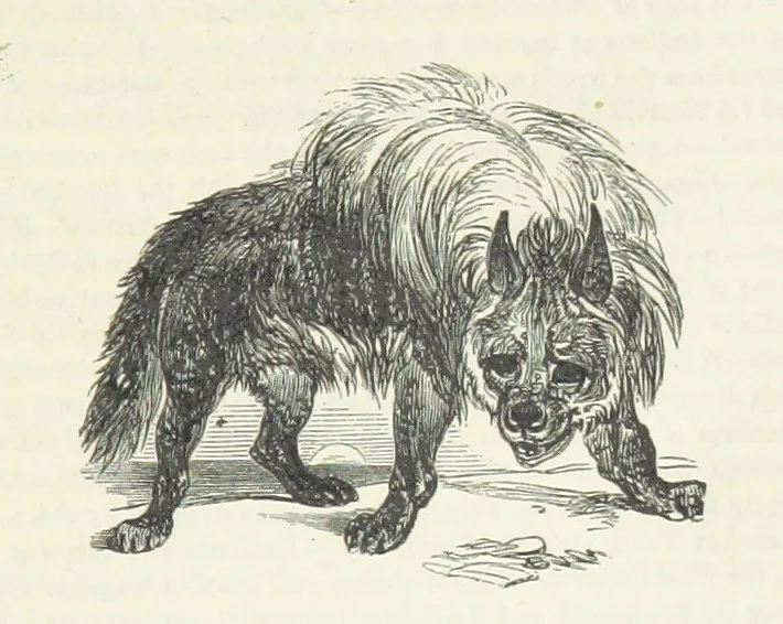An illustration from Notable Voyagers from Columbus to Nordenskïold. By W. H. G. K. and H. Frith, 1885, leaf 55