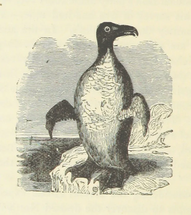 An illustration from Notable Voyagers from Columbus to Nordenskïold. By W. H. G. K. and H. Frith, 1885, leaf 614