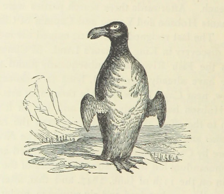 An illustration from Notable Voyagers from Columbus to Nordenskïold. By W. H. G. K. and H. Frith, 1885, leaf 632