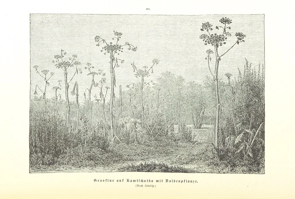 An illustration from Unser Wissen von der Erde. Allgemeine Erdkunde und Länderkunde, herausgegeben unter fachmännischer Mitwirkung von A. Kirchhoff, 1886, leaf 1008
