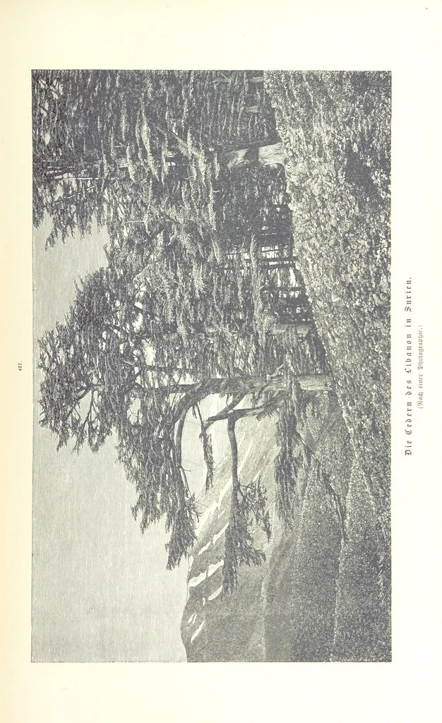 An illustration from Unser Wissen von der Erde. Allgemeine Erdkunde und Länderkunde, herausgegeben unter fachmännischer Mitwirkung von A. Kirchhoff, 1886, leaf 1013