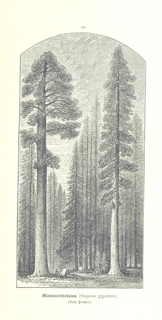 An illustration from Unser Wissen von der Erde. Allgemeine Erdkunde und Länderkunde, herausgegeben unter fachmännischer Mitwirkung von A. Kirchhoff, 1886, leaf 1017