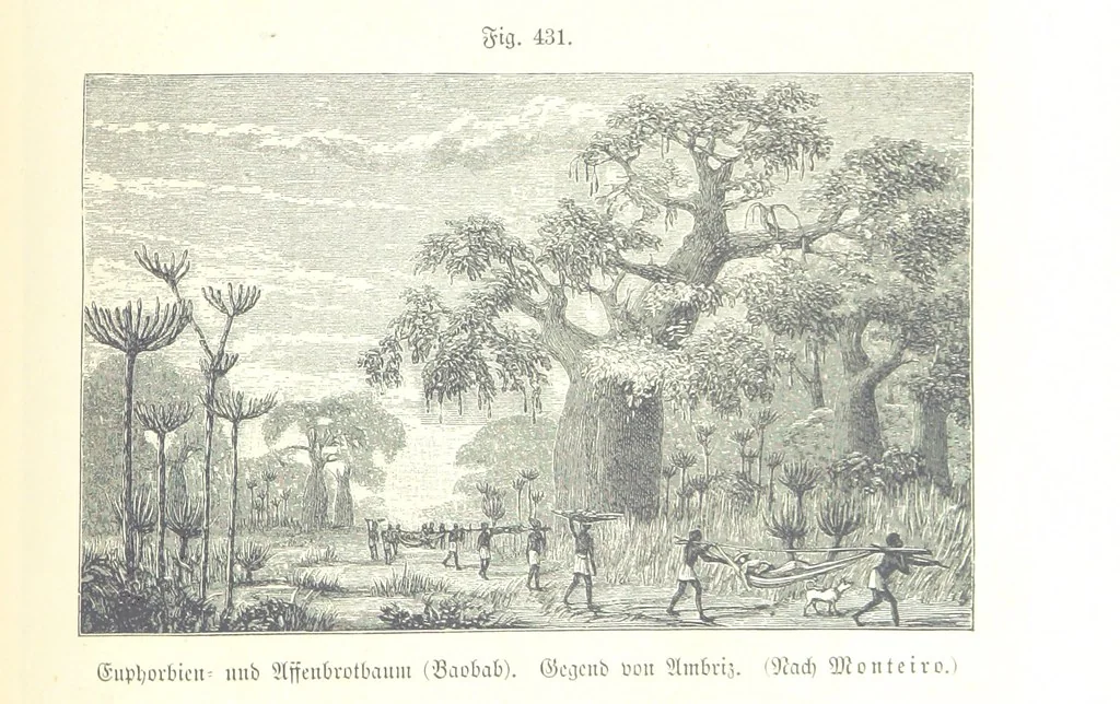 An illustration from Unser Wissen von der Erde. Allgemeine Erdkunde und Länderkunde, herausgegeben unter fachmännischer Mitwirkung von A. Kirchhoff, 1886, leaf 1019