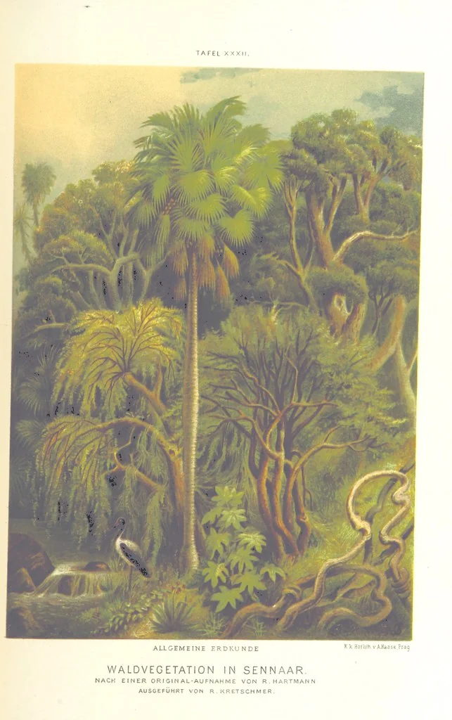 An illustration from Unser Wissen von der Erde. Allgemeine Erdkunde und Länderkunde, herausgegeben unter fachmännischer Mitwirkung von A. Kirchhoff, 1886, leaf 1021