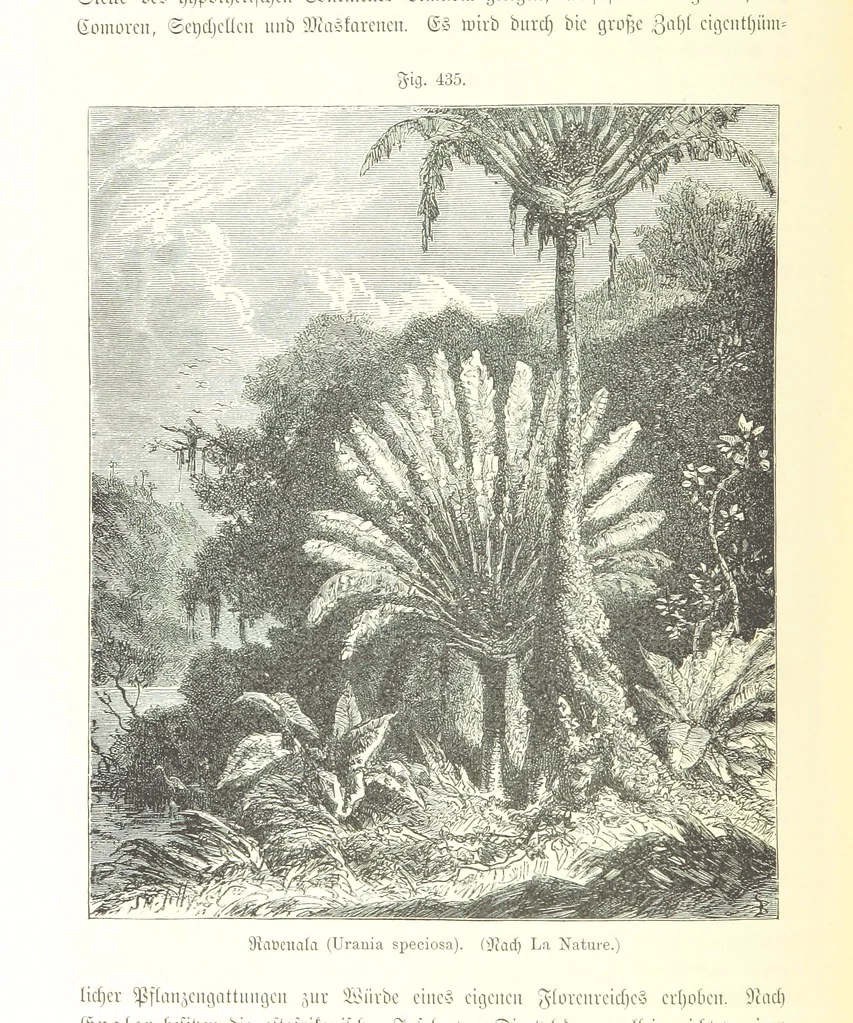 An illustration from Unser Wissen von der Erde. Allgemeine Erdkunde und Länderkunde, herausgegeben unter fachmännischer Mitwirkung von A. Kirchhoff, 1886, leaf 1024