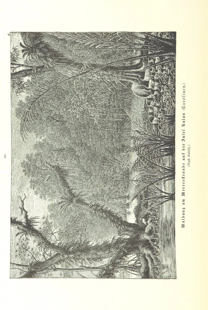 An illustration from Unser Wissen von der Erde. Allgemeine Erdkunde und Länderkunde, herausgegeben unter fachmännischer Mitwirkung von A. Kirchhoff, 1886, leaf 1028