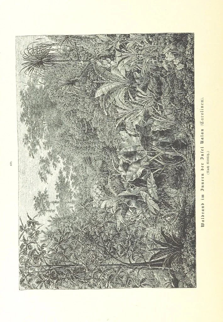 An illustration from Unser Wissen von der Erde. Allgemeine Erdkunde und Länderkunde, herausgegeben unter fachmännischer Mitwirkung von A. Kirchhoff, 1886, leaf 1032