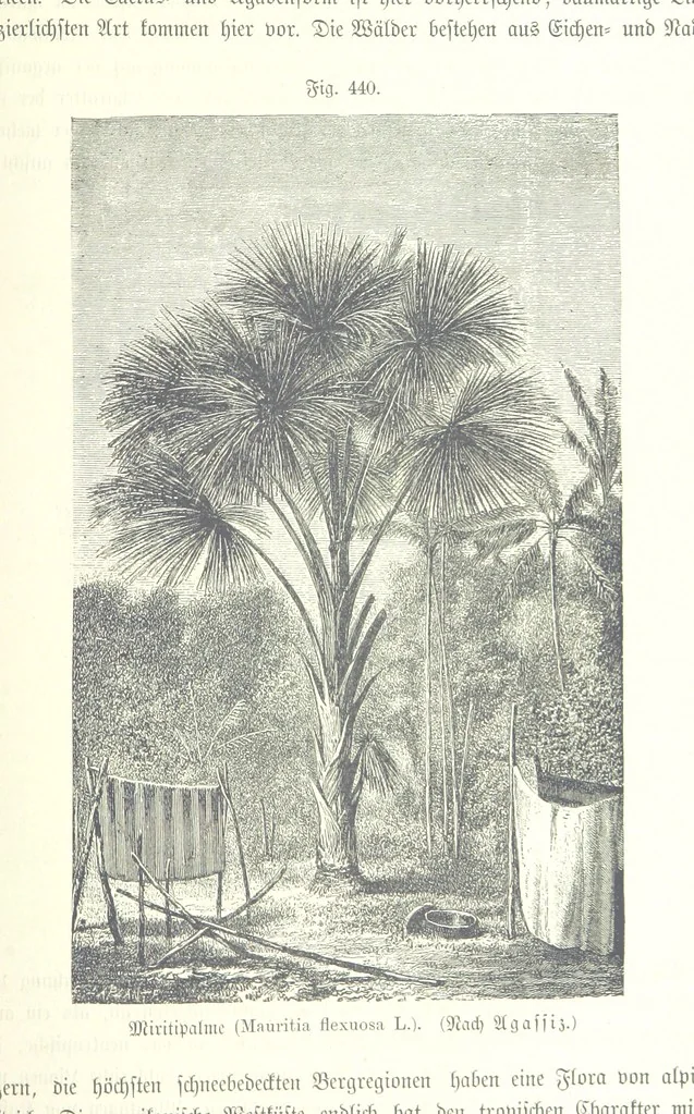 An illustration from Unser Wissen von der Erde. Allgemeine Erdkunde und Länderkunde, herausgegeben unter fachmännischer Mitwirkung von A. Kirchhoff, 1886, leaf 1035
