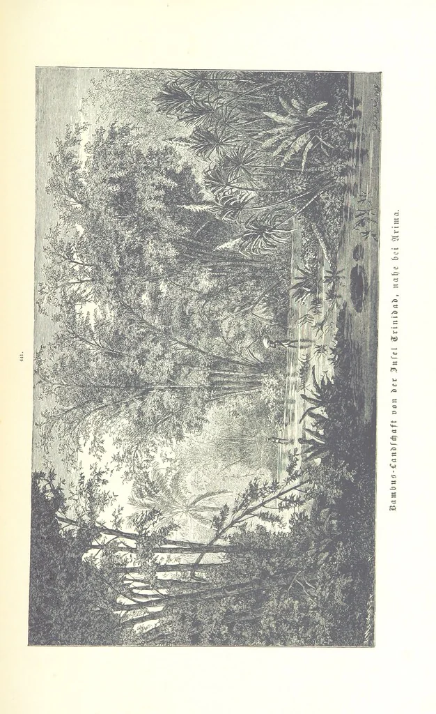 An illustration from Unser Wissen von der Erde. Allgemeine Erdkunde und Länderkunde, herausgegeben unter fachmännischer Mitwirkung von A. Kirchhoff, 1886, leaf 1037