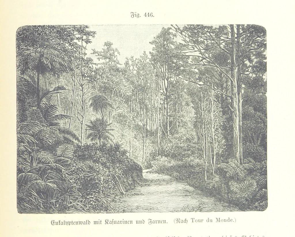 An illustration from Unser Wissen von der Erde. Allgemeine Erdkunde und Länderkunde, herausgegeben unter fachmännischer Mitwirkung von A. Kirchhoff, 1886, leaf 1043