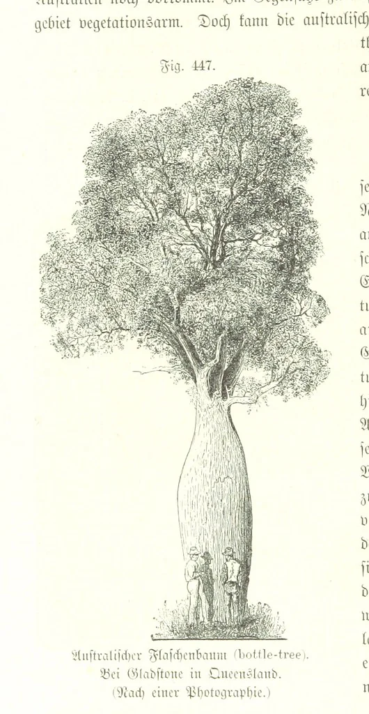 An illustration from Unser Wissen von der Erde. Allgemeine Erdkunde und Länderkunde, herausgegeben unter fachmännischer Mitwirkung von A. Kirchhoff, 1886, leaf 1044