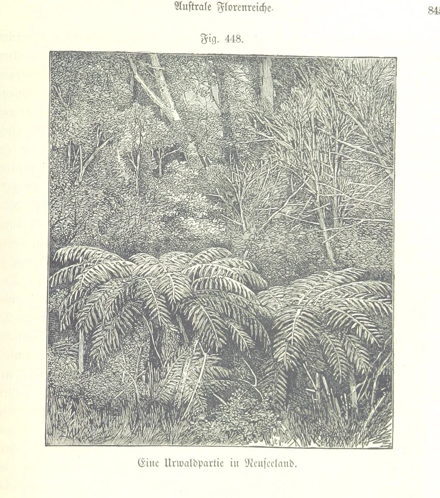 An illustration from Unser Wissen von der Erde. Allgemeine Erdkunde und Länderkunde, herausgegeben unter fachmännischer Mitwirkung von A. Kirchhoff, 1886, leaf 1045