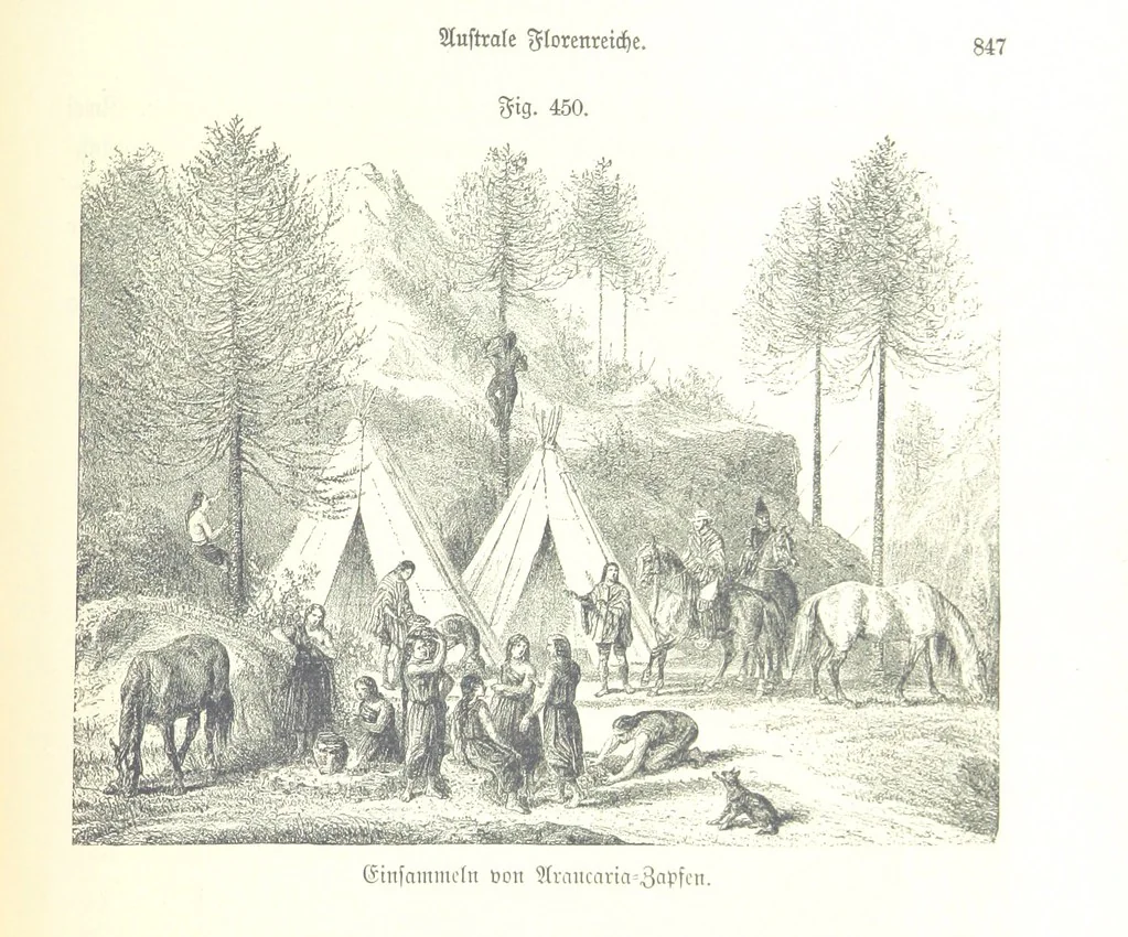 An illustration from Unser Wissen von der Erde. Allgemeine Erdkunde und Länderkunde, herausgegeben unter fachmännischer Mitwirkung von A. Kirchhoff, 1886, leaf 1047