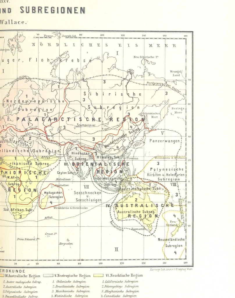 An illustration from Unser Wissen von der Erde. Allgemeine Erdkunde und Länderkunde, herausgegeben unter fachmännischer Mitwirkung von A. Kirchhoff, 1886, leaf 1053