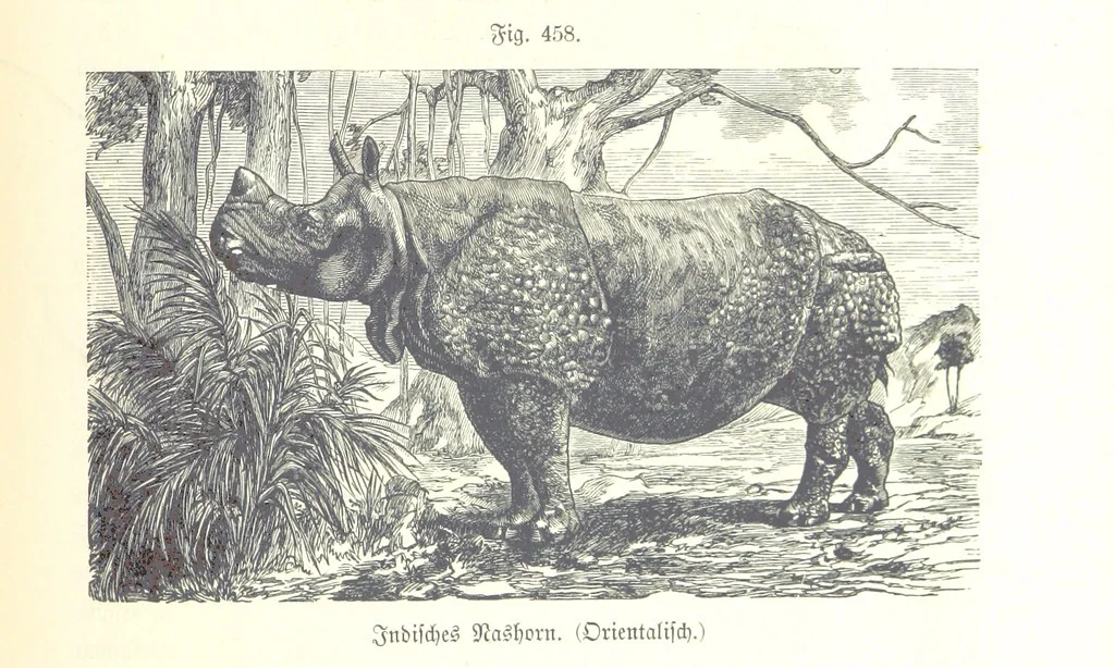 An illustration from Unser Wissen von der Erde. Allgemeine Erdkunde und Länderkunde, herausgegeben unter fachmännischer Mitwirkung von A. Kirchhoff, 1886, leaf 1063