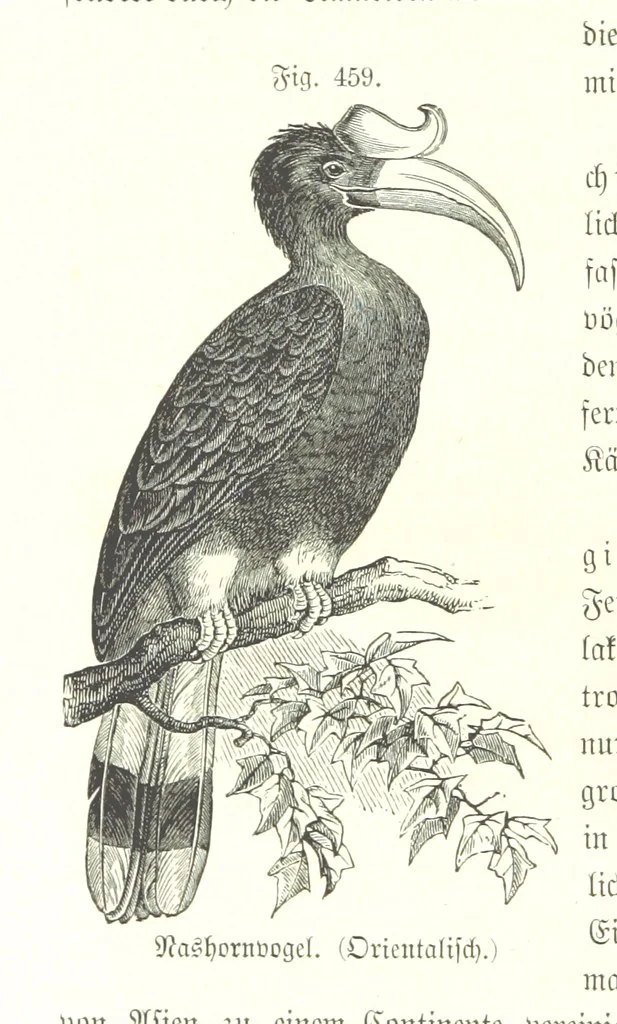 An illustration from Unser Wissen von der Erde. Allgemeine Erdkunde und Länderkunde, herausgegeben unter fachmännischer Mitwirkung von A. Kirchhoff, 1886, leaf 1064