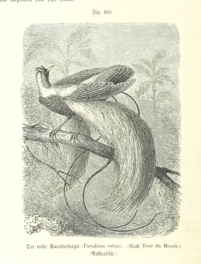 An illustration from Unser Wissen von der Erde. Allgemeine Erdkunde und Länderkunde, herausgegeben unter fachmännischer Mitwirkung von A. Kirchhoff, 1886, leaf 1066