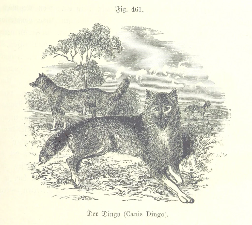 An illustration from Unser Wissen von der Erde. Allgemeine Erdkunde und Länderkunde, herausgegeben unter fachmännischer Mitwirkung von A. Kirchhoff, 1886, leaf 1067