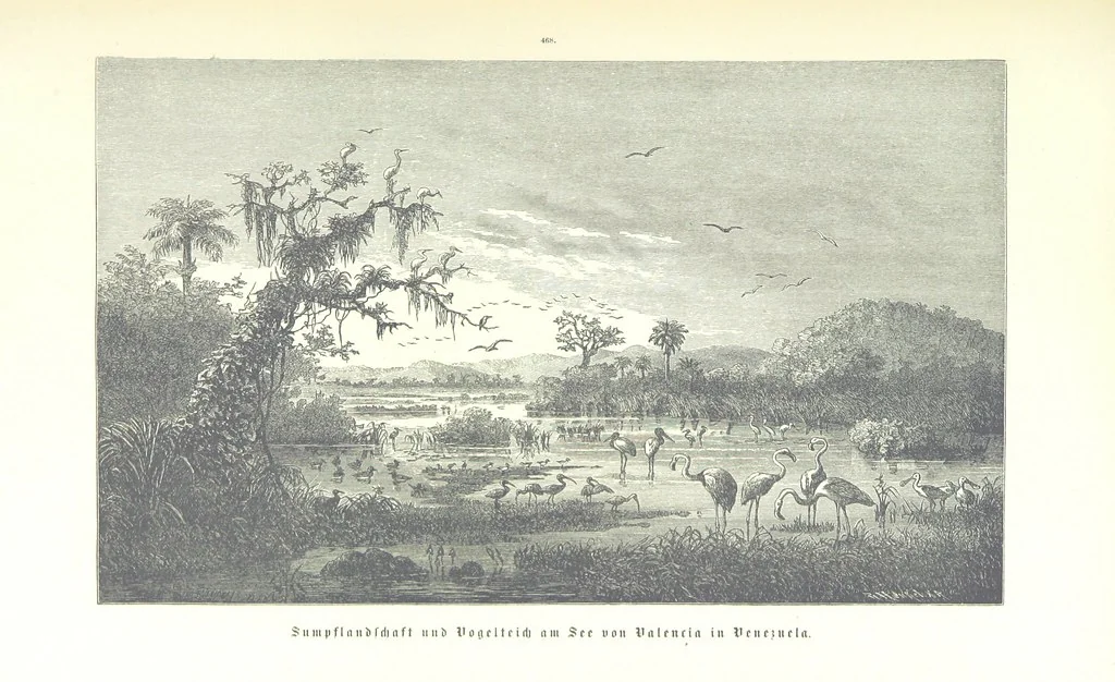 An illustration from Unser Wissen von der Erde. Allgemeine Erdkunde und Länderkunde, herausgegeben unter fachmännischer Mitwirkung von A. Kirchhoff, 1886, leaf 1071